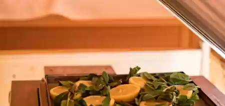 Biosauna
